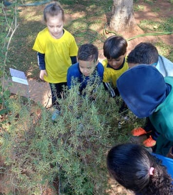 Escola de Educação Infantil Santa Rita de Cássia