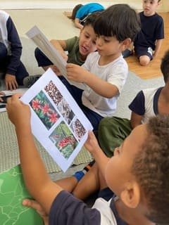 Escola de Educação Infantil Santa Rita de Cássia