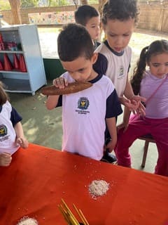 Escola de Educação Infantil Santa Rita de Cássia